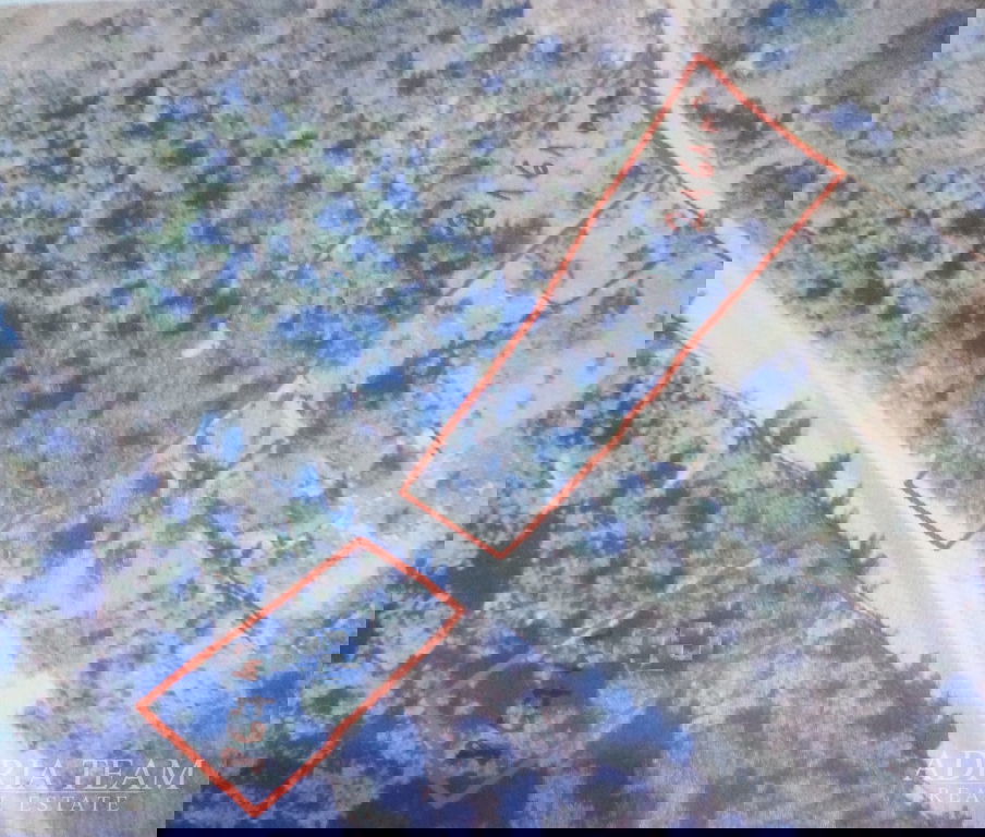 POĽNOHOSPODÁRSKA PÔDA 80 M OD MORA - NEVIĐANE, PAŠMAN