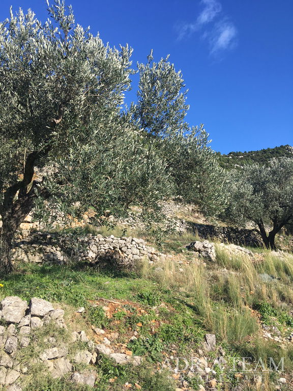 POZEMOK PRAVIDELNÉHO TVARU, 850 M OD MORIA, BABINO POLJE - MLJET