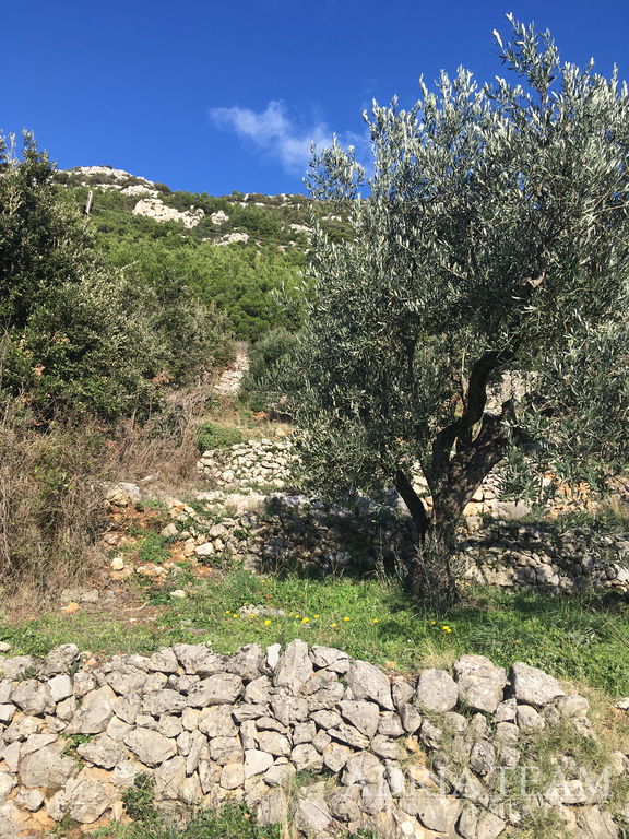 POZEMOK PRAVIDELNÉHO TVARU, 850 M OD MORIA, BABINO POLJE - MLJET