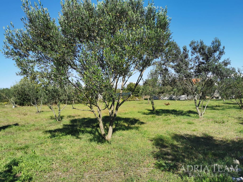 STAVEBNÝ POZEMOK, PRAVIDELNÉHO TVARU, 250m OD MORE, PAŠMAN - DOBROPOLJANA