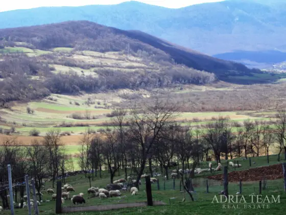 POĽNOHOSPODÁRSKA PÔDA, POKOJNÁ A TICHÁ LOKALITA V SRDCI PRÍRODY - SVICA, OTOČAC nehnuteľnosť na predaj