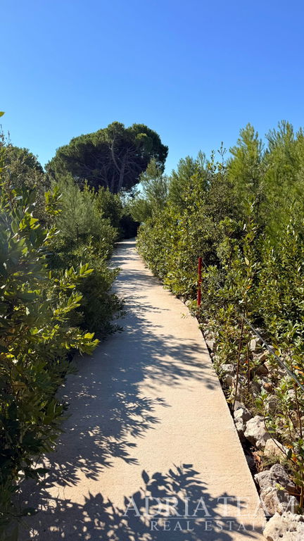 PENTHOUSE  – STREŠNÁ TERASA – NOVOSTAVBA – PRIVLAKA